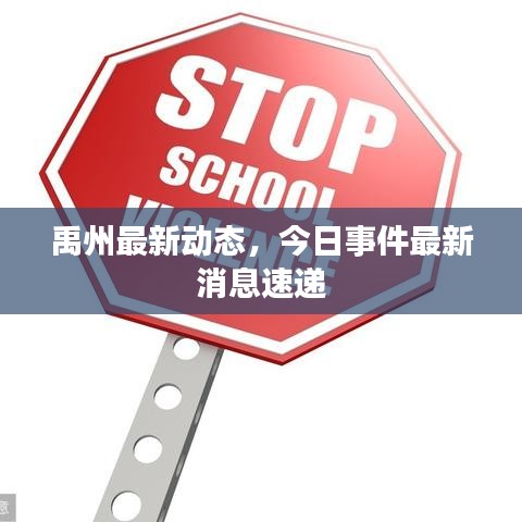 禹州最新动态，今日事件最新消息速递