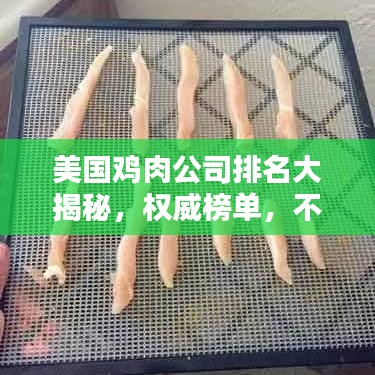 美国鸡肉公司排名大揭秘,权威榜单,不容错过!