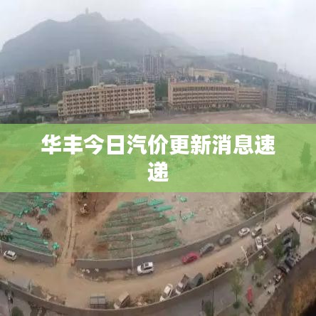 华丰今日汽价更新消息速递