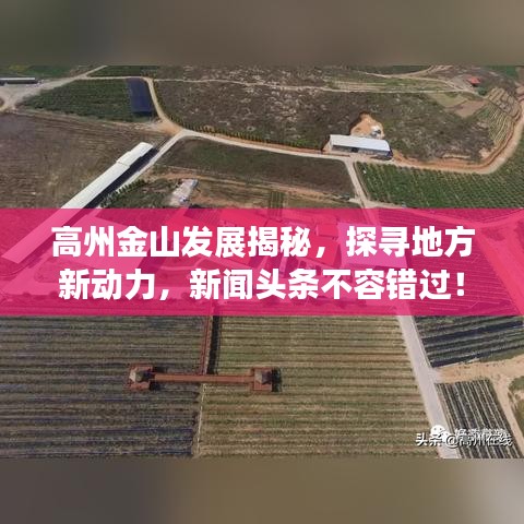 高州金山发展揭秘,探寻地方新动力,新闻头条不容错过!