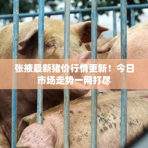 张掖最新猪价行情更新！今日市场走势一网打尽