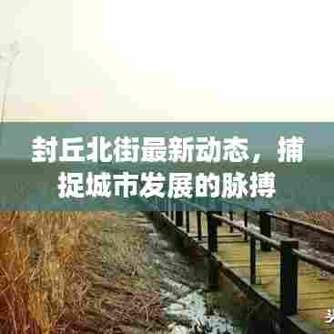 封丘北街最新动态,捕捉城市发展的脉搏