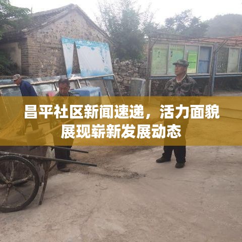 昌平社区新闻速递,活力面貌展现崭新发展动态