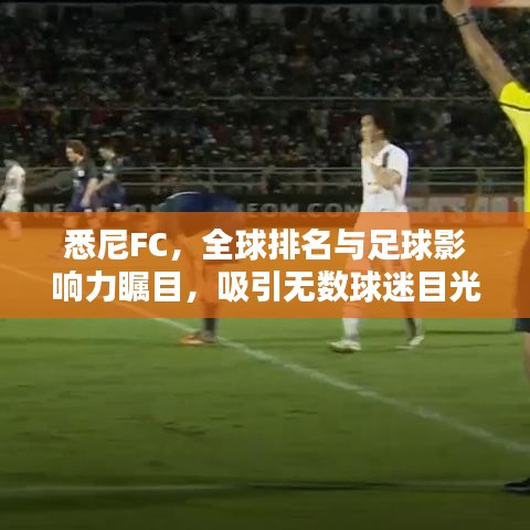 悉尼FC,全球排名与足球影响力瞩目,吸引无数球迷目光!