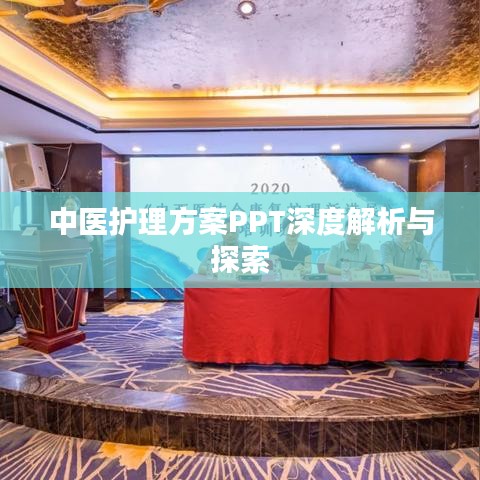 中医护理方案PPT深度解析与探索