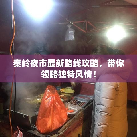 秦岭夜市最新路线攻略,带你领略独特风情!