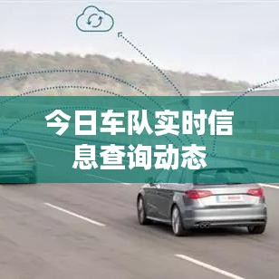 今日车队实时信息查询动态