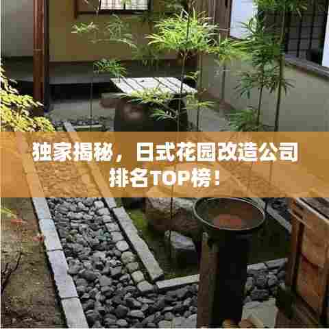 独家揭秘,日式花园改造公司排名TOP榜!