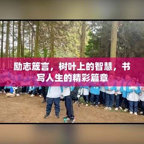 励志箴言,树叶上的智慧,书写人生的精彩篇章