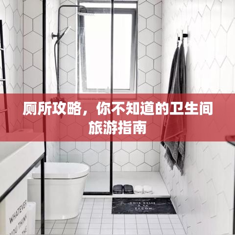 厕所攻略,你不知道的卫生间旅游指南