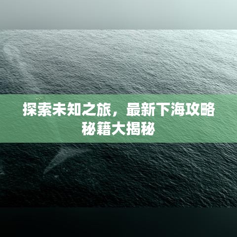 探索未知之旅,最新下海攻略秘籍大揭秘