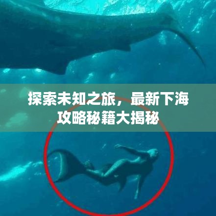 探索未知之旅,最新下海攻略秘籍大揭秘