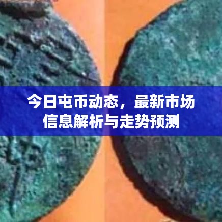 今日屯币动态,最新市场信息解析与走势预测
