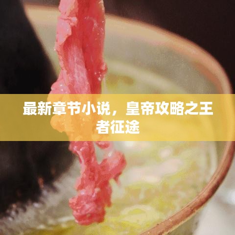 最新章节小说，皇帝攻略之王者征途