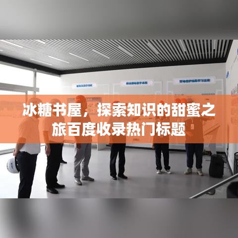 冰糖书屋，探索知识的甜蜜之旅百度收录热门标题