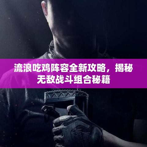流浪吃鸡阵容全新攻略，揭秘无敌战斗组合秘籍