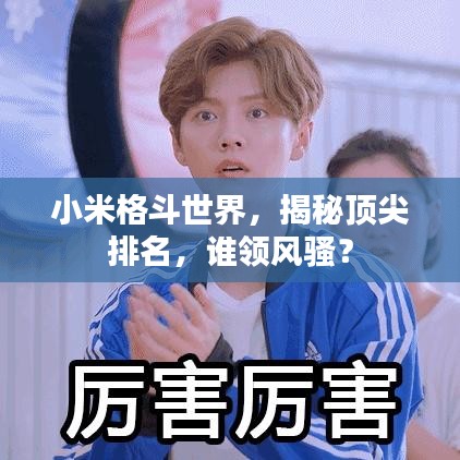 小米格斗世界,揭秘顶尖排名,谁领风骚?