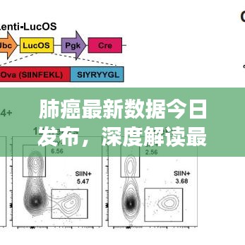 肺癌最新数据今日发布,深度解读最新趋势与发现