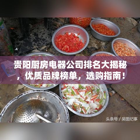 贵阳厨房电器公司排名大揭秘,优质品牌榜单,选购指南!