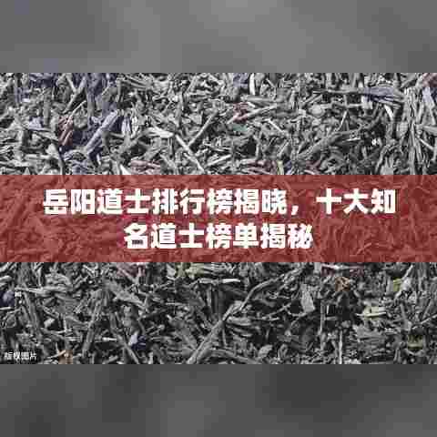 岳阳道士排行榜揭晓,十大知名道士榜单揭秘