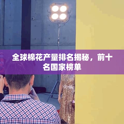 全球棉花产量排名揭秘,前十名国家榜单
