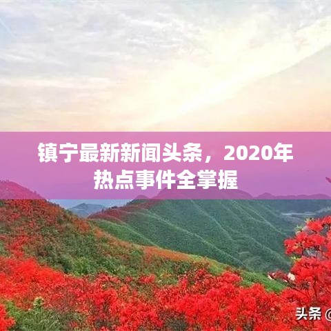 镇宁最新新闻头条，2020年热点事件全掌握