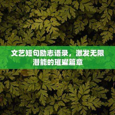 文艺短句励志语录,激发无限潜能的璀璨篇章