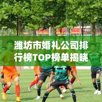 潍坊市婚礼公司排行榜TOP榜单揭晓！专业策划、优质服务，打造梦幻婚礼的首选！