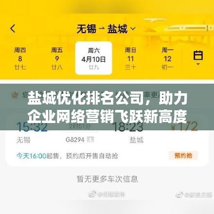 盐城优化排名公司，助力企业网络营销飞跃新高度
