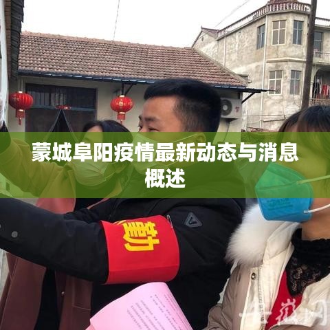 蒙城阜阳疫情最新动态与消息概述