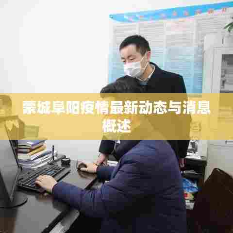 蒙城阜阳疫情最新动态与消息概述