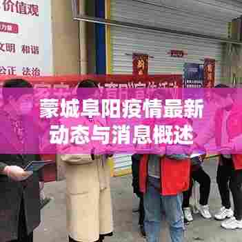 蒙城阜阳疫情最新动态与消息概述