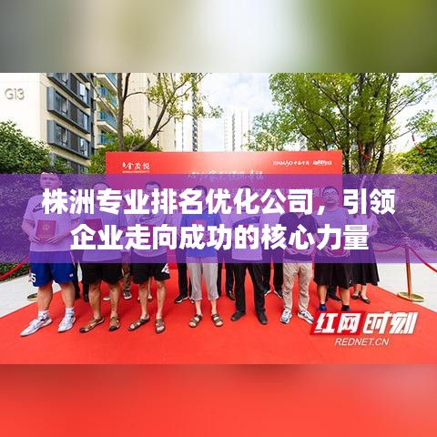 株洲专业排名优化公司,引领企业走向成功的核心力量