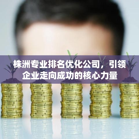 株洲专业排名优化公司,引领企业走向成功的核心力量