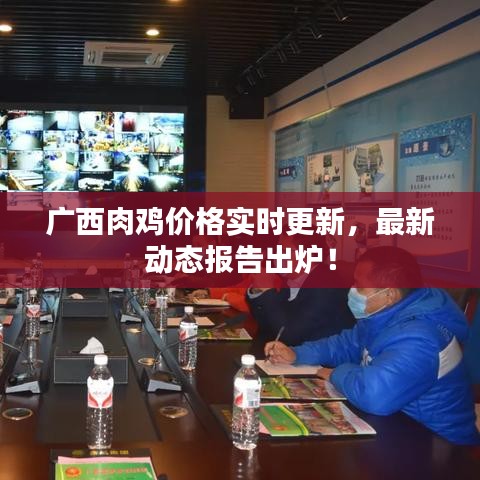 广西肉鸡价格实时更新,最新动态报告出炉!