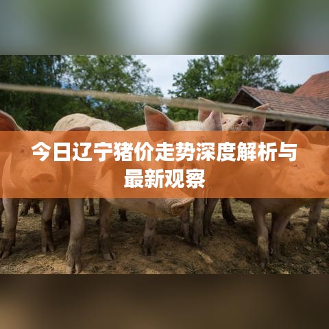 今日辽宁猪价走势深度解析与最新观察