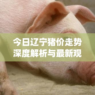 今日辽宁猪价走势深度解析与最新观察