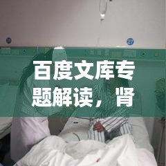 百度文库专题解读,肾病的症状与体征全面剖析