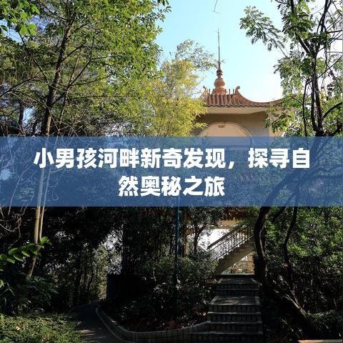 小男孩河畔新奇发现，探寻自然奥秘之旅