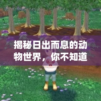 揭秘日出而息的动物世界，你不知道的神奇现象！