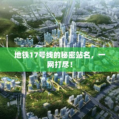 集腋成裘 第3页