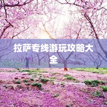 拉萨专线游玩攻略大全