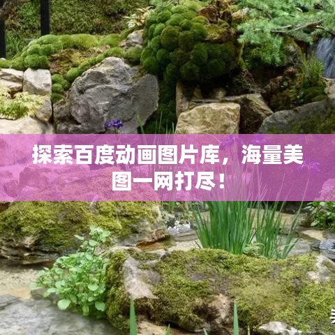 探索百度动画图片库,海量美图一网打尽!