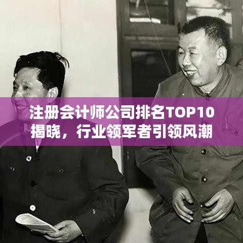 注册会计师公司排名TOP10揭晓,行业领军者引领风潮