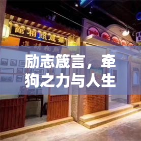 励志箴言,牵狗之力与人生步伐同行