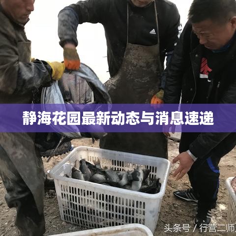 静海花园最新动态与消息速递