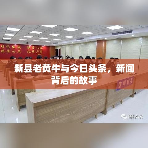 新县老黄牛与今日头条,新闻背后的故事