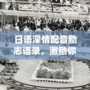 日语深情配音励志语录,激励你前行的力量之源!