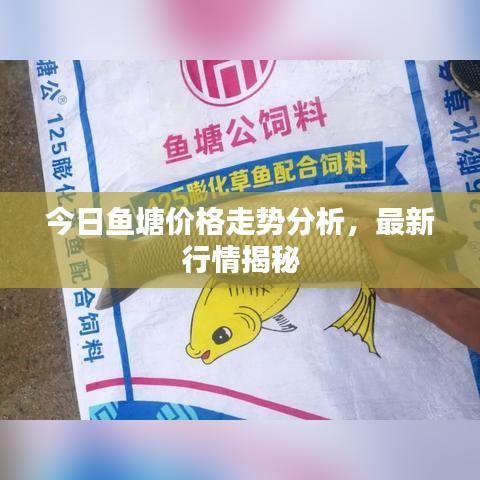 今日鱼塘价格走势分析,最新行情揭秘