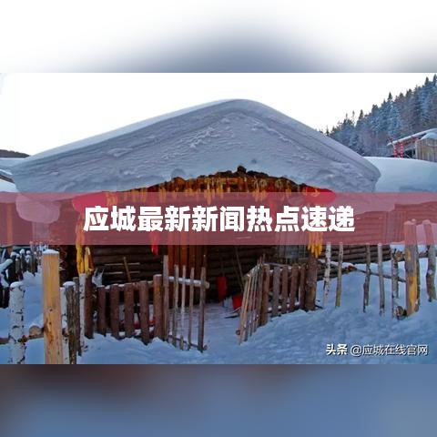 应城最新新闻热点速递